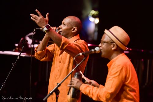 Bal Cubain à Pavillons sous bois